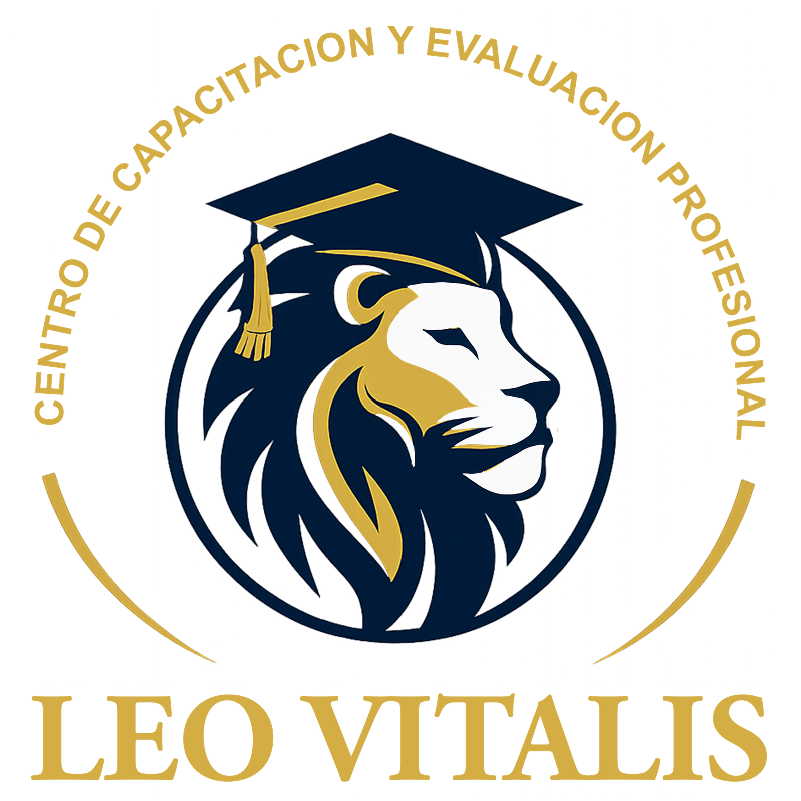 Leo Vitalis Centro de Capacitacion y Certificacion Profesional